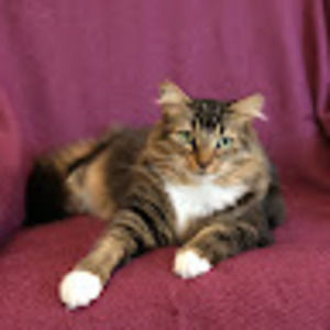 Meet your Posher, Crash